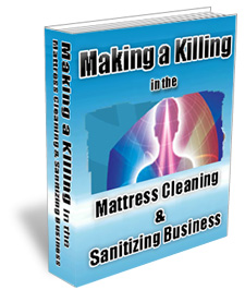 UV cleaning business